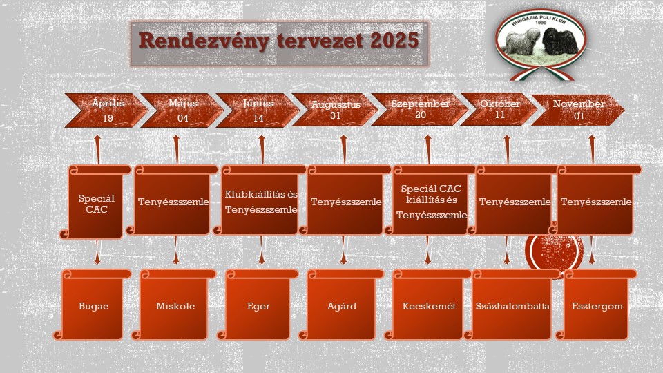 Rendezvényeink 2025